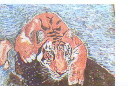 le tigre